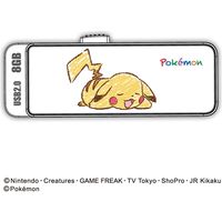 磁気研究所 ポケモンデザインUSB2.0フラッシュメモリー スライド式 8GB PKUF127S8G2 1個（直送品）