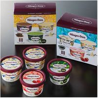 【簡易包装・ギフト】　タカナシ販売　ハーゲンダッツセレクトセット　HD55　1個（直送品）