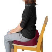 クッション　エルゴクッション　ワインレッド 20510 2個 トレードワン（直送品）