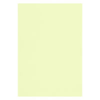 リンテック 色画用紙 ニューカラーR 八切 メロン NCR1338 1包（100枚入）