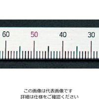 エスコ 100mm [左方向/下目盛]スケール EA948J-12 1セット(15個)（直送品）
