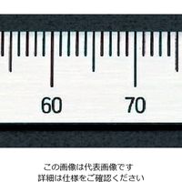 エスコ 200mm [右方向/上目盛]スケール EA948J-34 1セット(10個)（直送品）