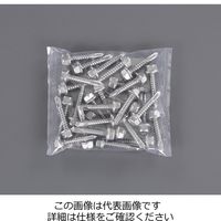 エスコ 5x19mm ピアスビス(六角頭/ステンレス/30本) EA949EG-751 1セット(300本:30本×10パック)（直送品）