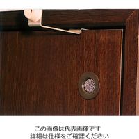 エスコ ドア用明り採り EA951L-10 1セット(10個)（直送品）
