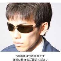 エスコ 保護めがね(ファイアー・屋内外用) EA800CM-5 1セット(10個)（直送品）