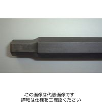 エスコ 1/4”DR/ 6 x100mm [INHEX]ソケット EA618AT-106 1セット(10個)（直送品）