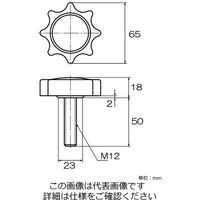エスコ M12x50mm/65mm 雄ねじ菊ノブ(ナイロン) EA948AY-55 1セット(10個)（直送品）