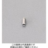 エスコ M6x10mm 六角穴付止ねじ(真鍮パッド/ステンレス) EA949DS-6 1セット(10個)（直送品）