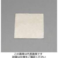 エスコ 300x100x 1.0mm みがき鋼板(2枚) EA441VG-101 1セット(20枚:2枚×10袋)（直送品）