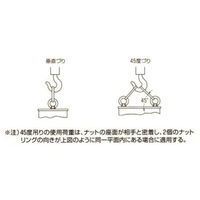 エスコ M16 アイナット(鍛造) EA638SP-16 1セット(10個)（直送品）