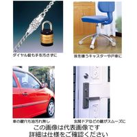 エスコ 17ml パウダースプレー(錠穴用) EA920AK-35 1セット(10個)（直送品）