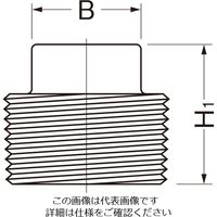 エスコ R 1/4” プラグ(ステンレス製) EA469AL-2A 1セット(40個)（直送品）