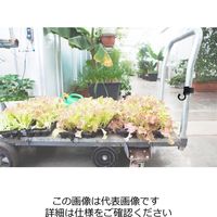 エスコ 20~40mm/25mm ベルト付回転フック(OD色) EA951DV-2 1セット(15個)（直送品）