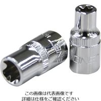 エスコ 1/4”DRxE5 [Hexlobe]ソケット EA617CV-5 1セット(15個)（直送品）