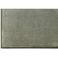 アイリスオーヤマ ラ・クッションラグ　ACRB-1318　グリーン　1個（直送品）