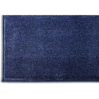 アイリスオーヤマ ラ・クッションラグ　ACRB-1318　ブルー　1個（直送品）