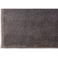 アイリスオーヤマ ラ・クッションラグ ACRB-1824 ブラウン 1個