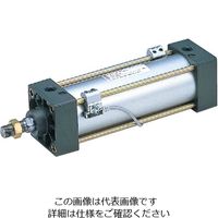 TAIYO 空気圧シリンダ 10Aー6SD125B125 1個（直送品）