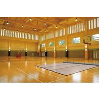 積水成型 SEKISUI 【美草】 MIGUSA ロール畳 グリーン 幅900×奥行8000×高さ4.5mm グリーン SMR-8（GN） 1本（直送品）