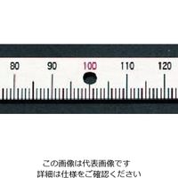 エスコ 200mm [右方向/下目盛]スケール(ネジ止付) EA948J-104 1セット(10個)（直送品）