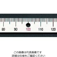 エスコ 200mm[右方向/上目盛]スケール(ネジ止付) EA948J-134 1セット(10個)（直送品）
