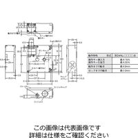 オムロン 小形電磁ロック・セーフティドアスイッチ D4NLー1AFBーB 1個（直送品）