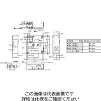 オムロン 小形電磁ロック・セーフティドアスイッチ D4NLー1HDAーB4S 1個（直送品）