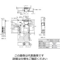 オムロン 電磁ロック・セーフティドアスイッチ D4JLー4NFGーC5 1個（直送品）