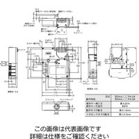 オムロン 電磁ロック・セーフティドアスイッチ D4JLー2RFAーC6 1個（直送品）