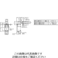 オムロン 小形セーフティ・ヒンジドアスイッチ D4NHー4CAS 1個（直送品）