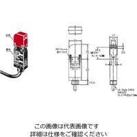 オムロン スリムタイプセーフティ・ドアスイッチ D4GSーN1Rー3 1個（直送品）