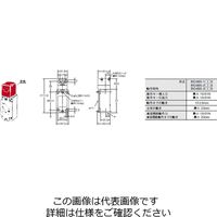 オムロン セーフティ・ドアスイッチ D4BSー1AFS 1個（直送品）