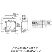オムロン 電磁ロック・セーフティドアスイッチ D4BLー2GRDーAT 1個（直送品）