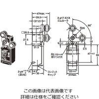 オムロン 汎用リミットスイッチ 2接点シリーズ D4Nー2ALE 1個（直送品）