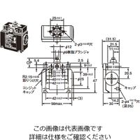 オムロン セーフティ・リミットスイッチ 2接点シリーズ(直接開路動作付き) D4Nー6131 1セット(2個)（直送品）