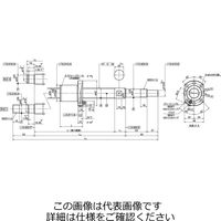 日本精工 コンパクトFAシリーズ PSS2530N1D0779 1個（直送品）