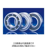 日本精工 ステンレス軸受 SS6002DDーT 1セット(4個)（直送品）