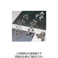 日本精工 ステンレス小径玉軸受(単列深溝玉軸受) SS602ZZ 1セット(10個)（直送品）