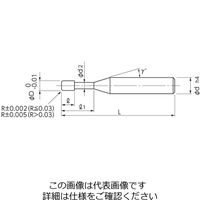 日進工具 CBNスーパースピードラジアスエンドミル SSR200φ2×R0.1×3 01-00490-20102 1本（直送品）