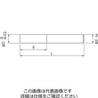 日進工具 アルミ用高能率エンドミル ALZ345φ8×120L 01-00636-00803 1本（直送品）