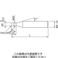 日進工具 PCDラジアスエンドミル PCDRSφ1×R0.1×1 04-00700-10100 1本（直送品）