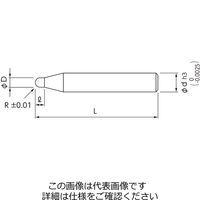 日進工具 硬脆材加工用ボールエンドミル DCMBR0.3 05-00500-00300 1本（直送品）