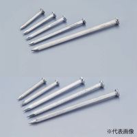 Amatei（アマテイ） コンクリート釘 500g SP 10×65 20箱（直送品）