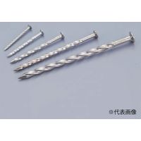 Amatei（アマテイ） メッキスクリュー釘 4kg入 38mm 1箱（直送品）