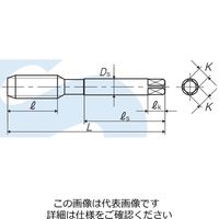 彌満和製作所 プラスシリーズ スパイラルタップ +SP AM 8X1.25 P2 1セット(2本)（直送品）