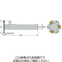 イスカル タングスロット ETSD050ー04ーLN08ーM10 1台（直送品）