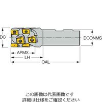 イスカル ヘリタングミル T490LNMD25ー30ー2ーM12ー08 1台（直送品）