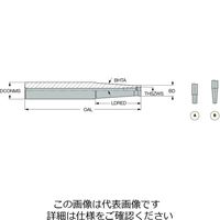 イスカル フレックスフィット SM06ーL60C10 1本（直送品）
