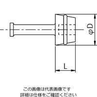 岩田製作所 円錐プラグE GKS04 1ケース(1000個)（直送品）