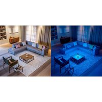 フィリップス UV-Cデスクライト　ブラウン UVCdisinfectiondesklamp24WBJP 1個